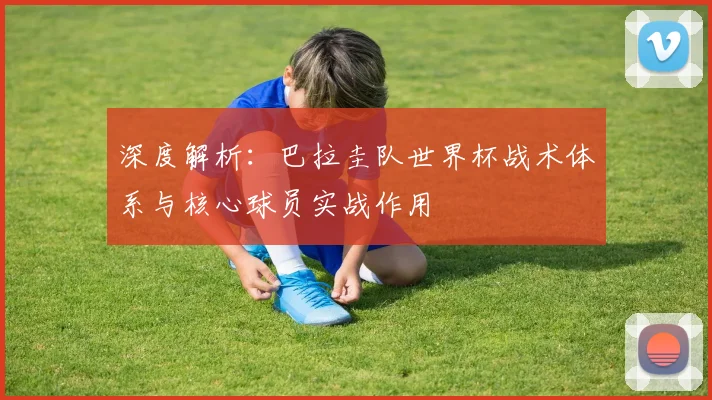 深度解析:巴拉圭队世界杯战术体系与核心球员实战作用