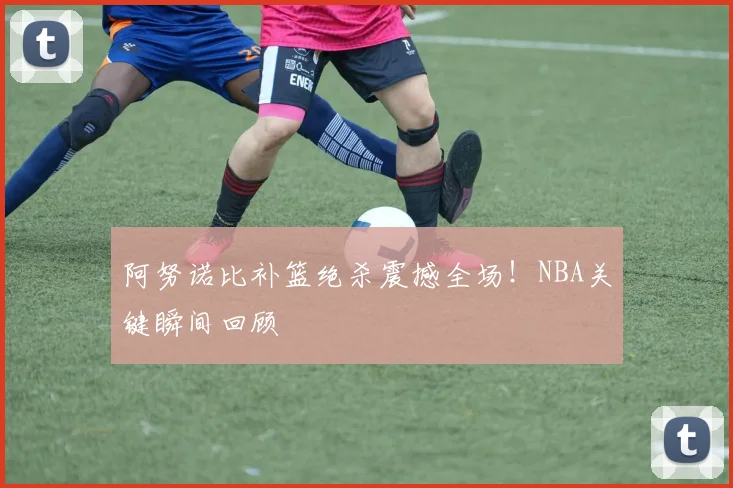 阿努诺比补篮绝杀震撼全场!NBA关键瞬间回顾